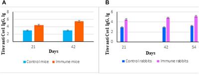 Construction of the Enterococcal Strain Expressing Immunogenic Fragment of SARS-Cov-2 Virus